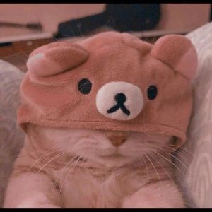 Meet your Posher, Didi